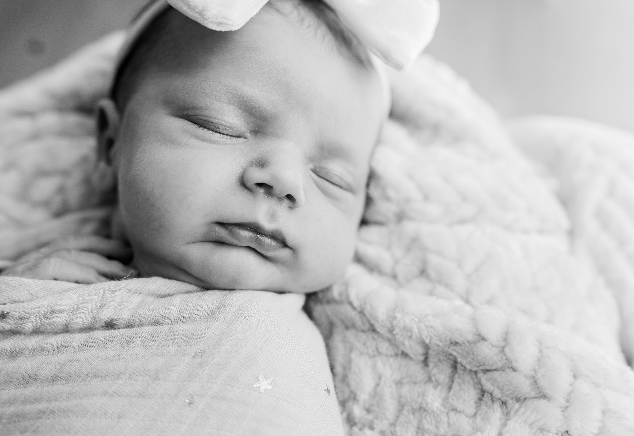 2025 Favorites (Williamsport Photographer)