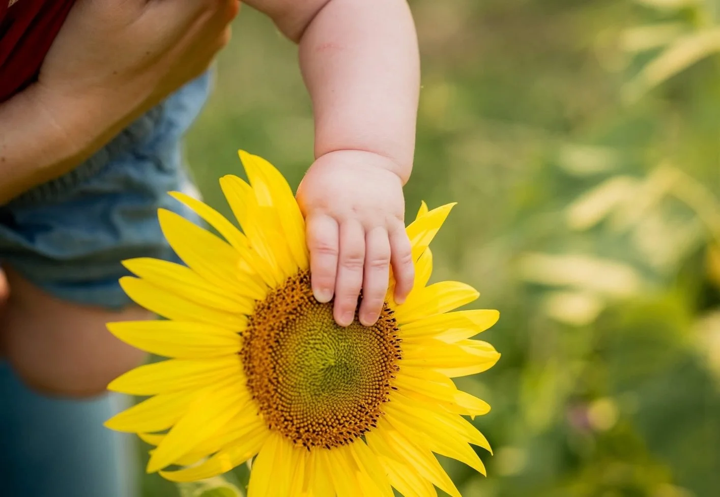 It&rsquo;s sunflower time! 🌻✨
The ABP Sunflower Mini Sessions are officially open! Limited spots. 

Link in bio