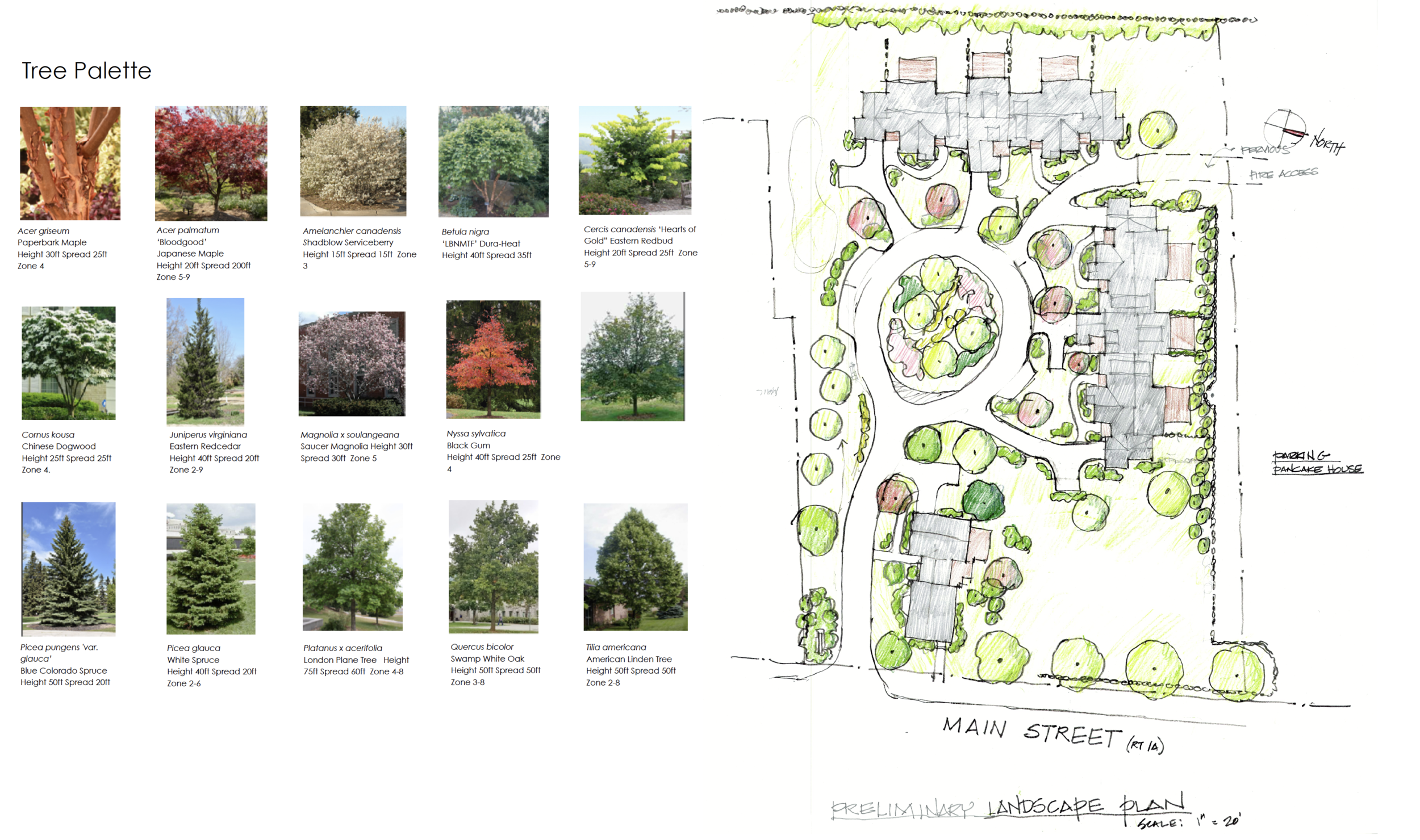 Preliminary Concept Landscape Plan : Ashley Village, Rowley, MA 