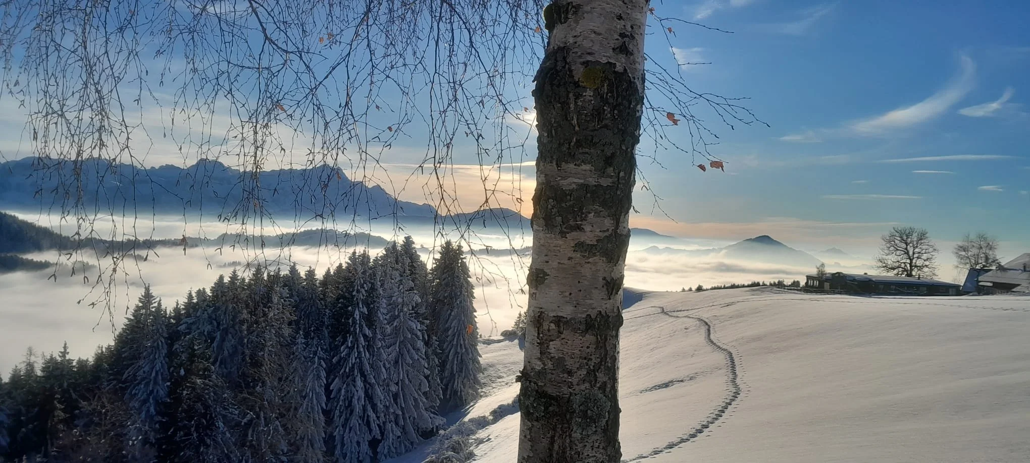 WhatsApp Image 2024-01-11 at 09.33.57(1).jpeg