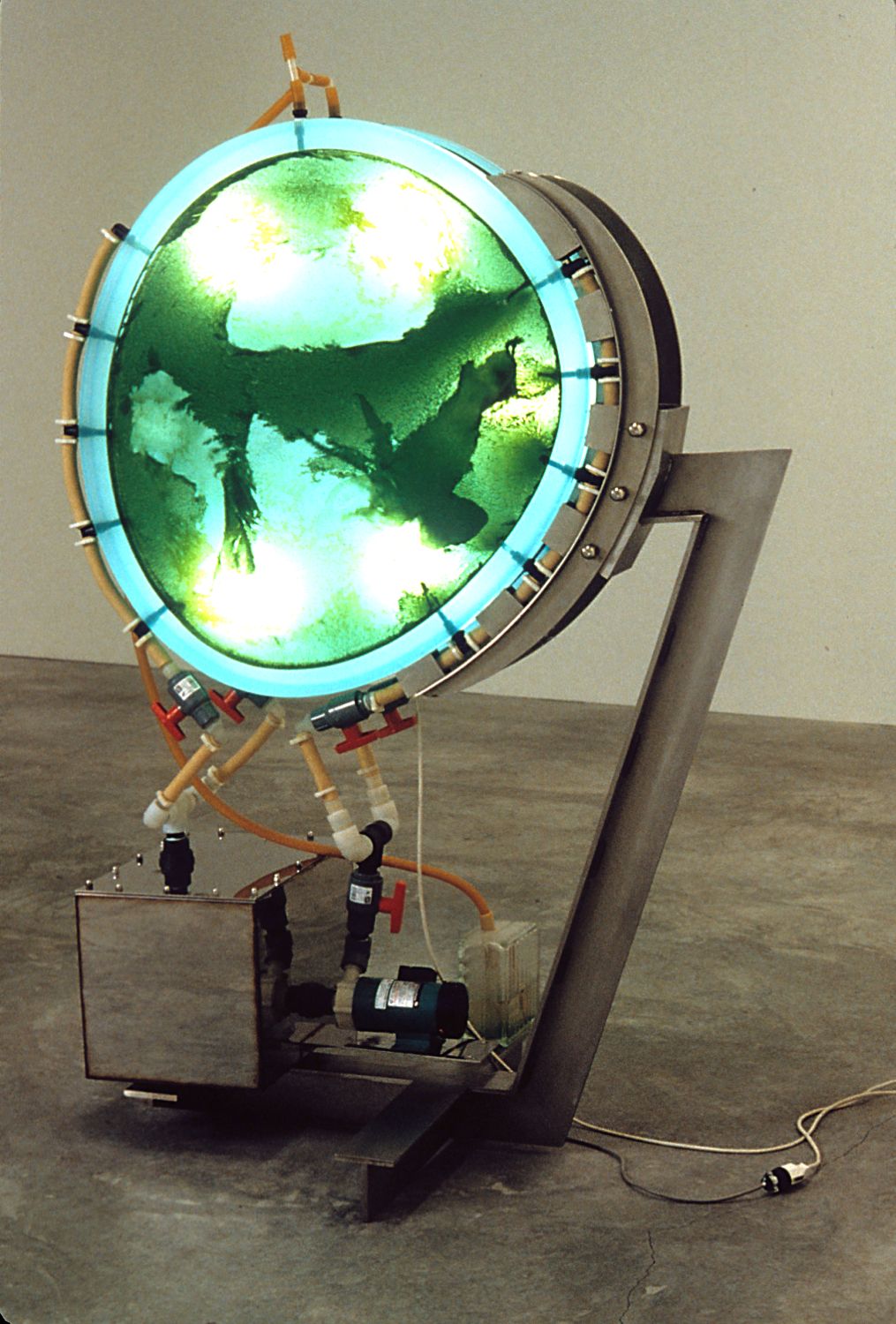 Advanced Model in Torpor State, 1999, 74"x50"x34", algae growing system