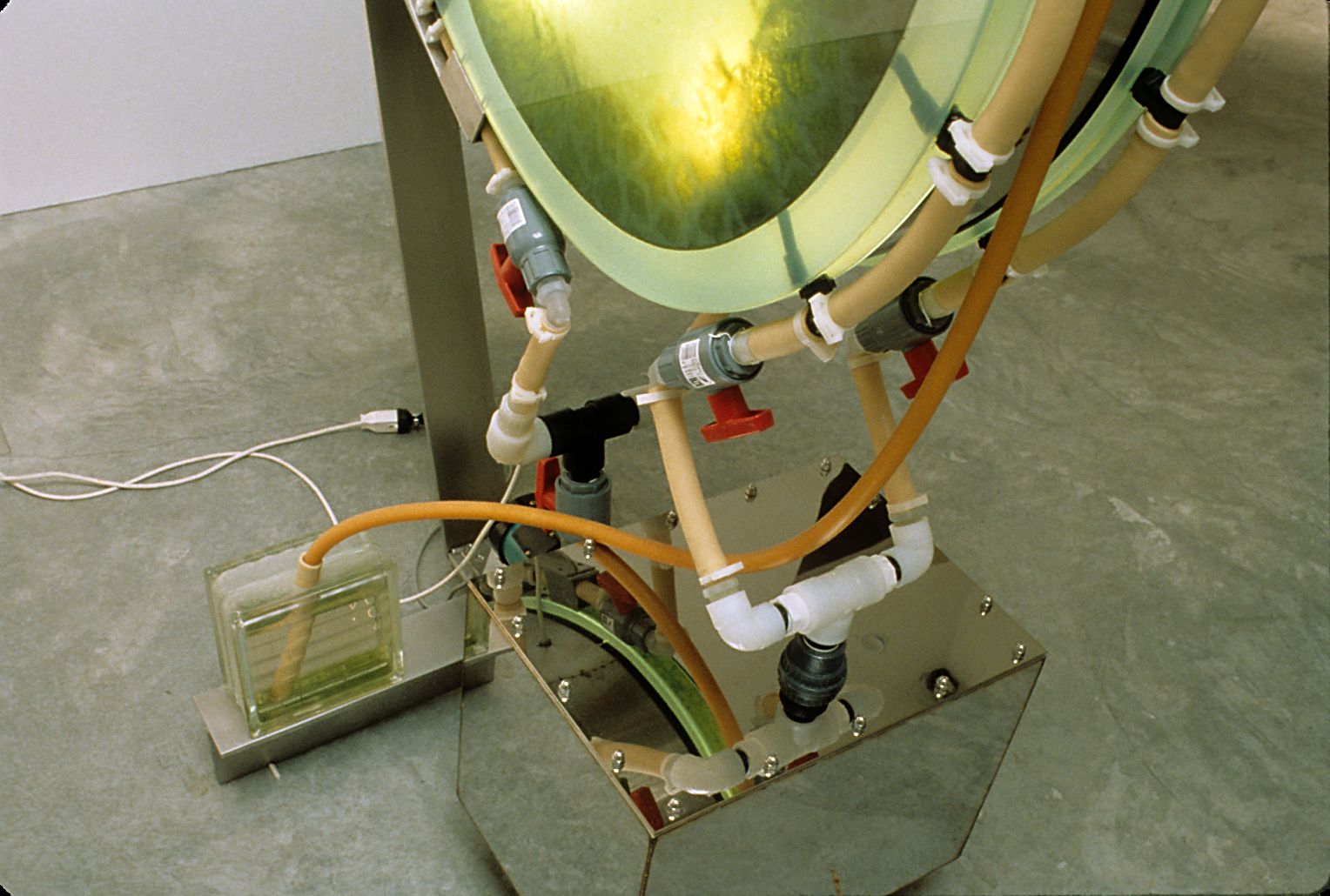 Advanced Model in Torpor State, 1999, detail