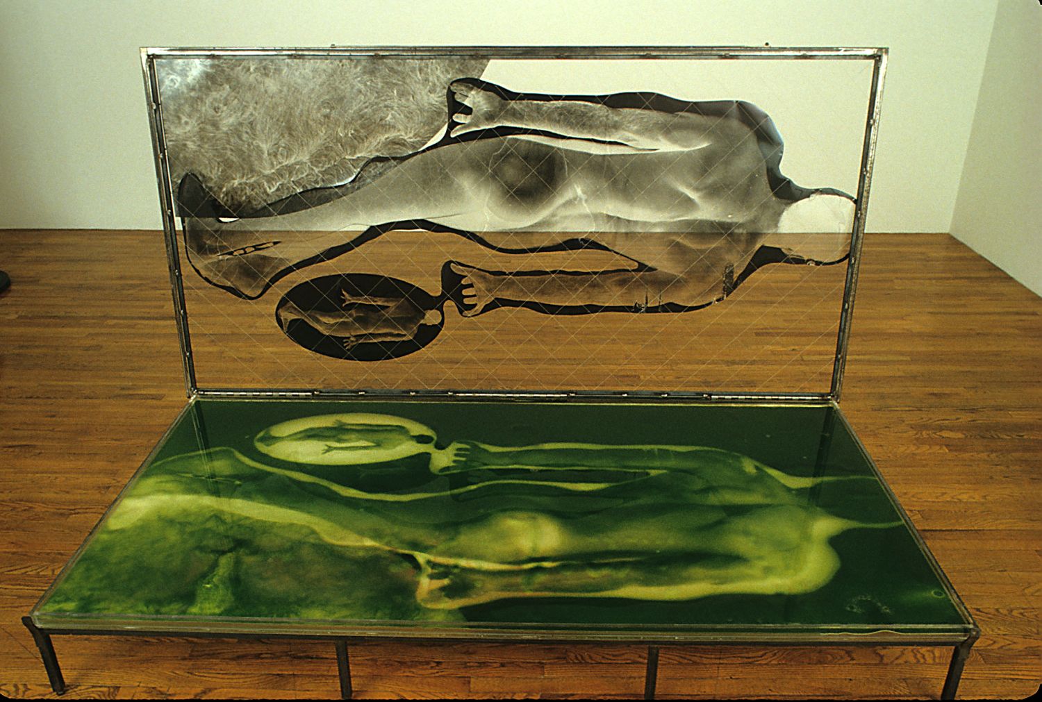 Adventures in Articulation, 1994, Showing Cyanobacteria, growth, and negative 