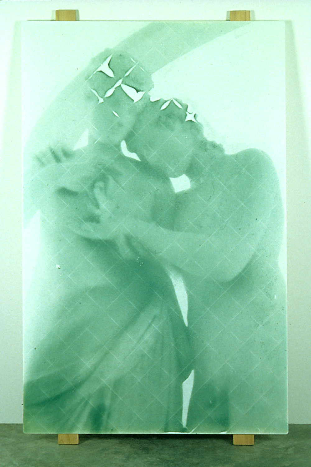 Mother Child and Moth, 1999, 75"x46", Cyanobacteria on glass