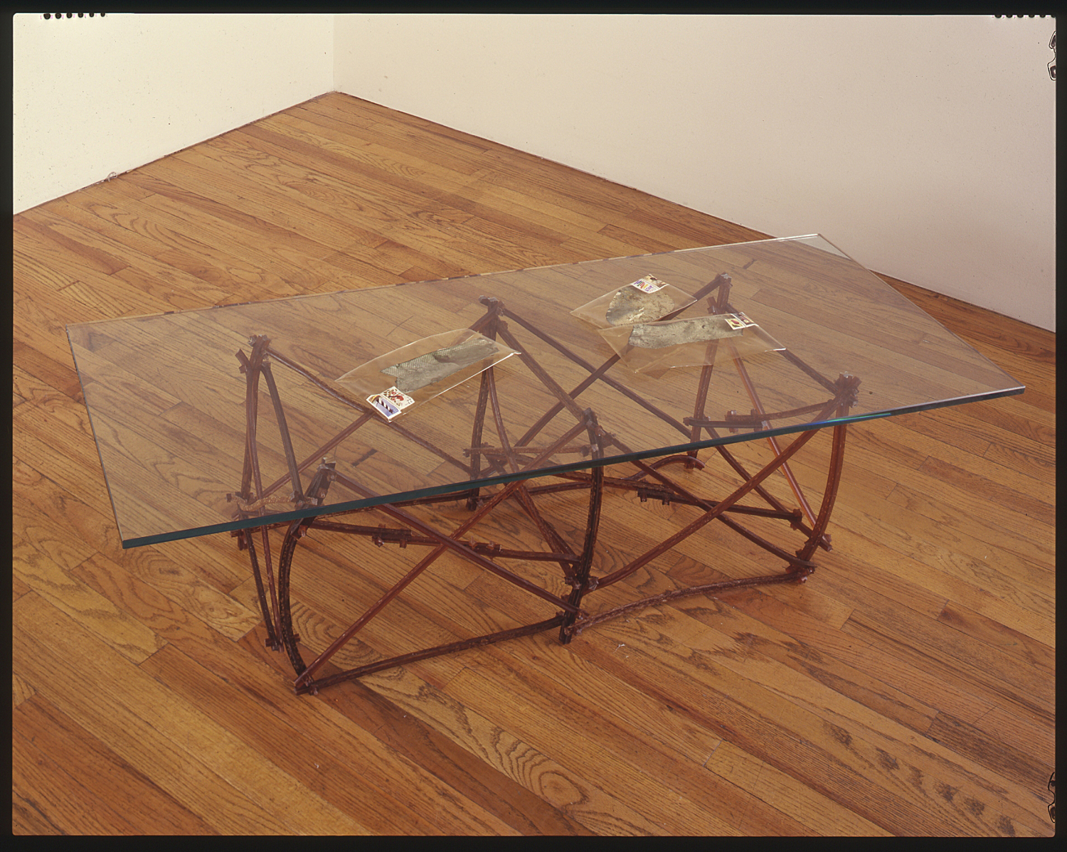 "Observation Platform #1", 1991, 24"x48"x14", algae, glass, stamps