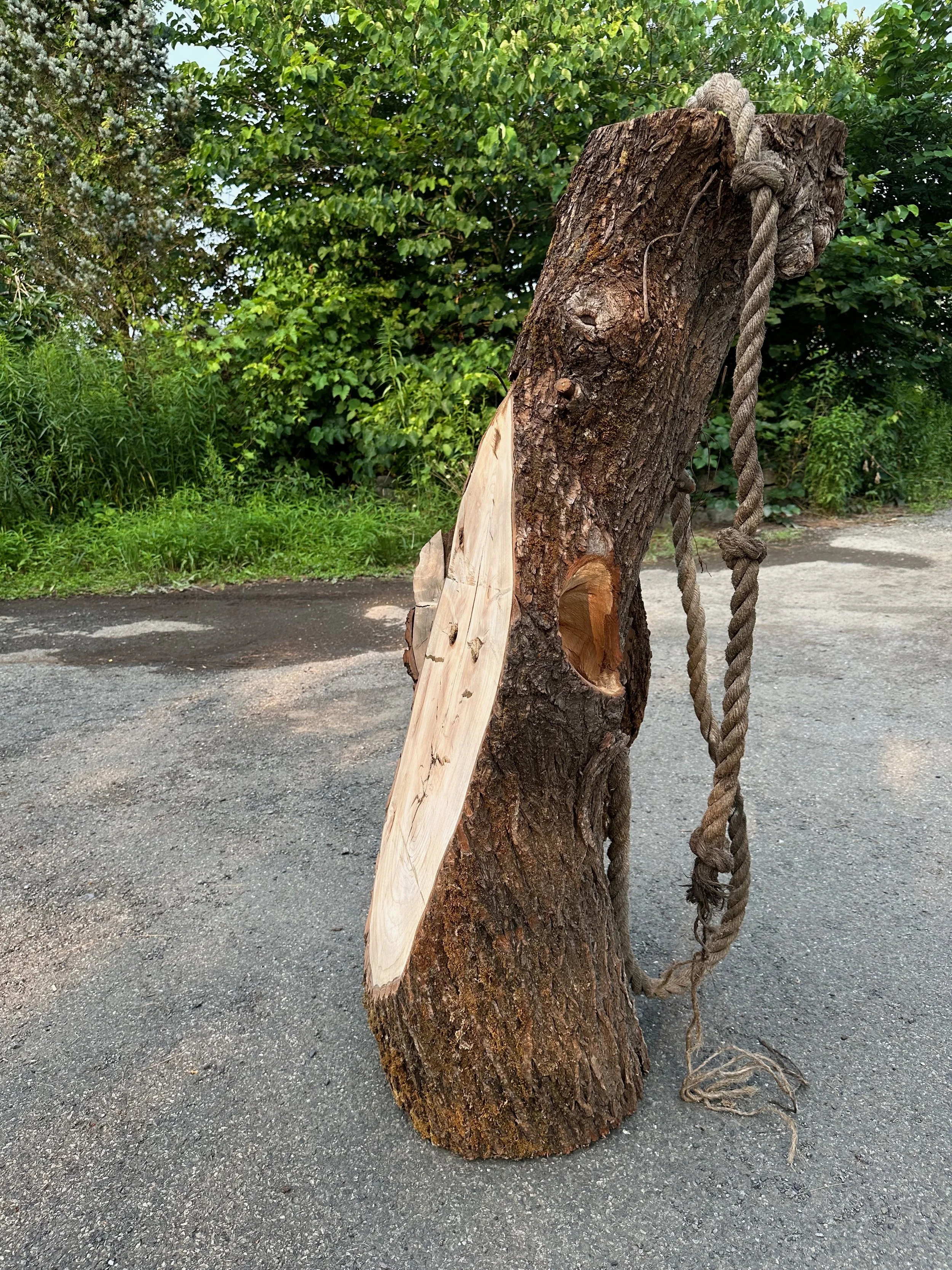 "Rope Swing", 2008-2023, 60"x18"x18", willow, rope