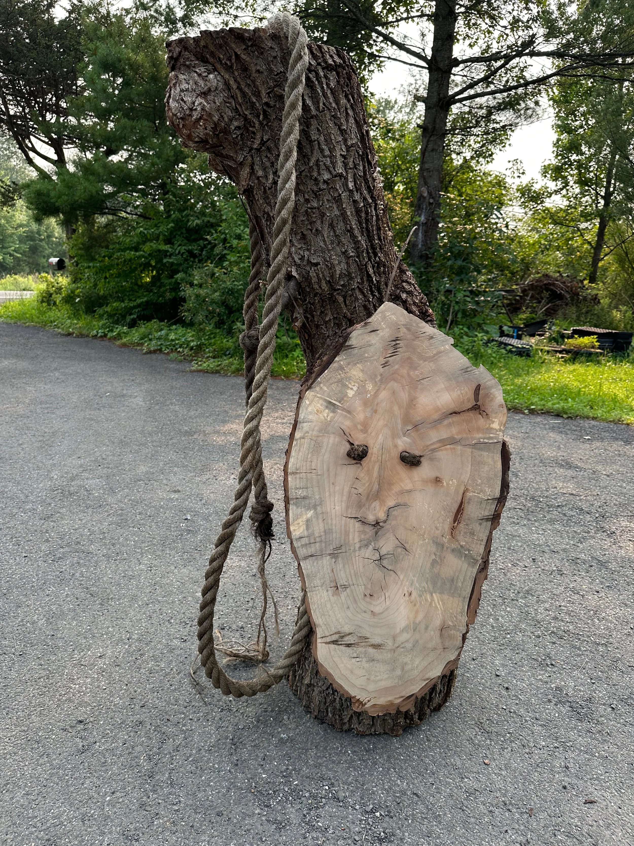 4 %22Rope Swing%22, 2008-2023, 60%22x18%22x18%22, Willow,rope.jpeg
