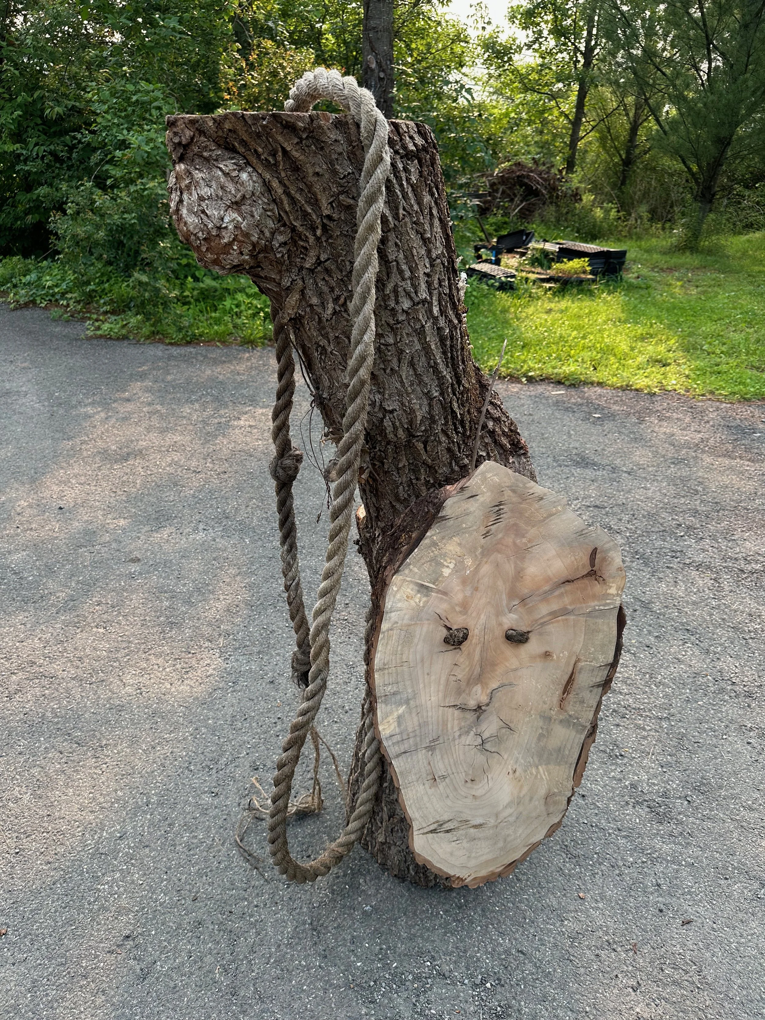 "Rope swing", 2008-2022, 60"x18"x18", willow, rope 