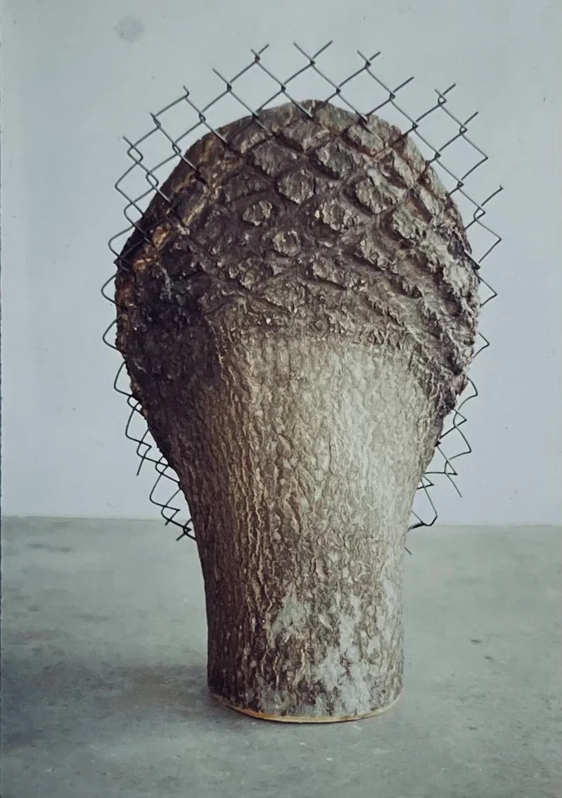 "Interferance Articulated", back detail, 40"x24"x18", tree fence