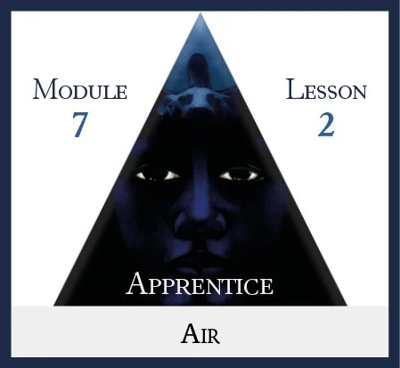 Apprentice Module 7 Lesson 2