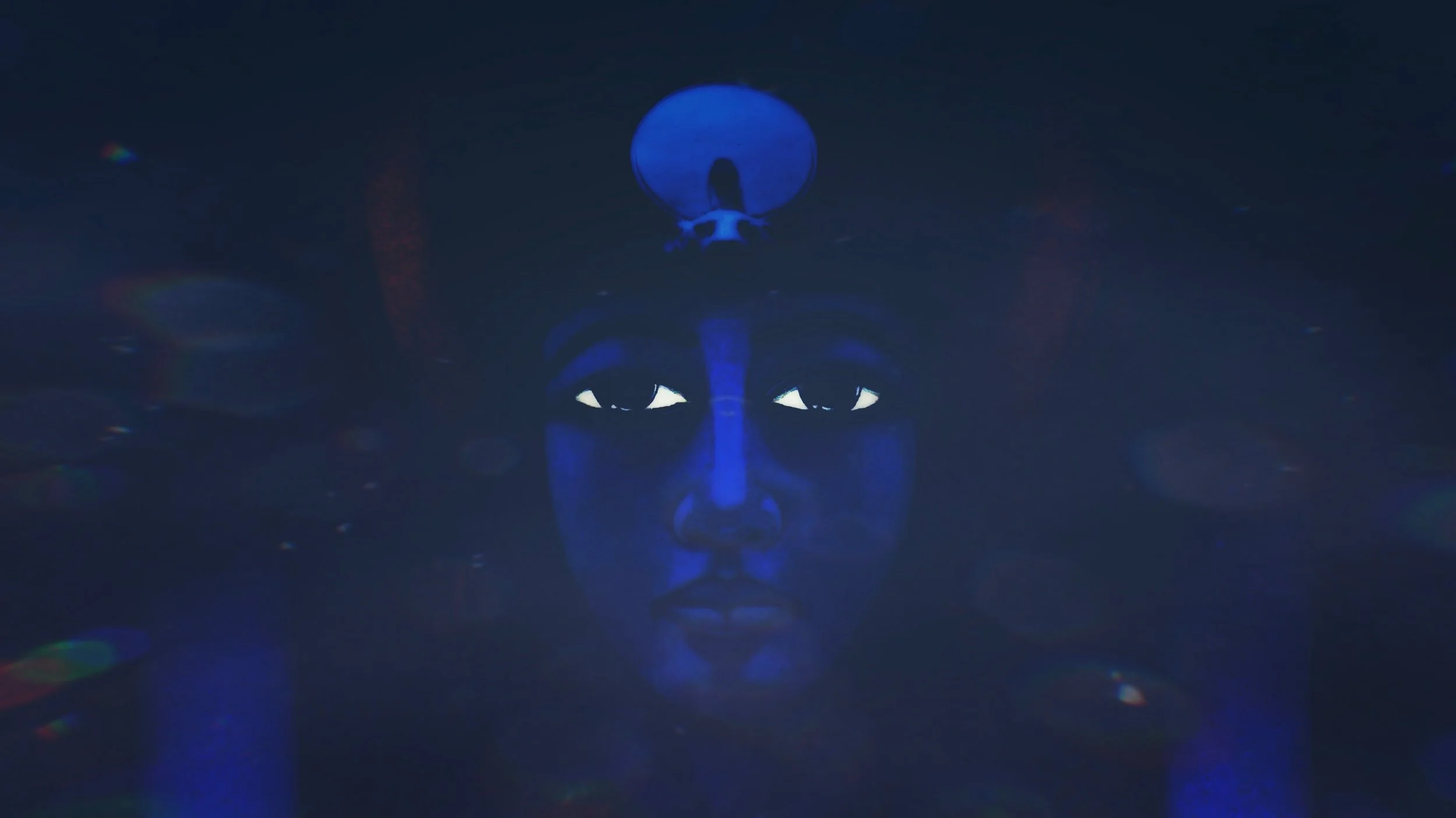 Quareia back new 2.jpeg