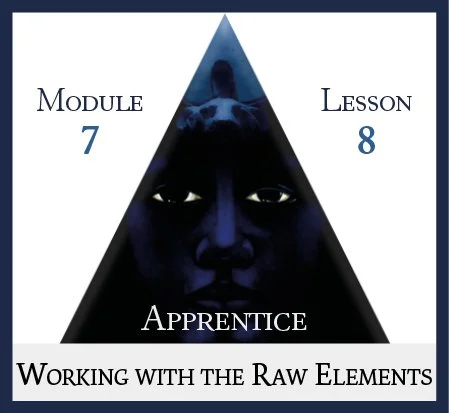 Apprentice Module 7 Lesson 8