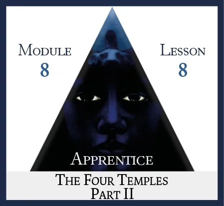 Apprentice Module 8 Lesson 8