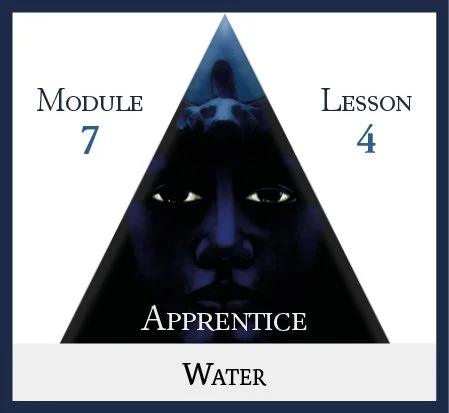Apprentice Module 7 Lesson 4