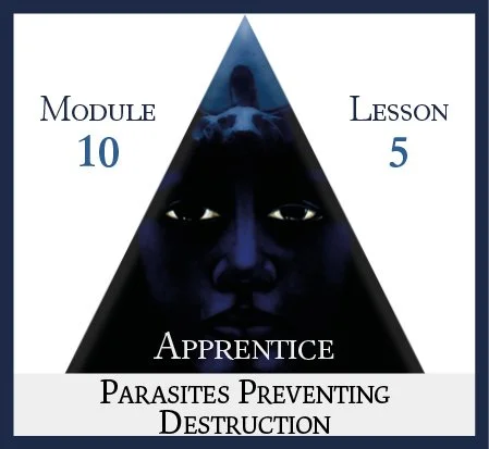 Apprentice Module 10 Lesson 5