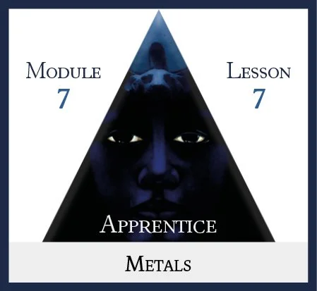 Apprentice Module 7 Lesson 7