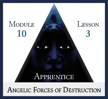 Apprentice Module 10 Lesson 3