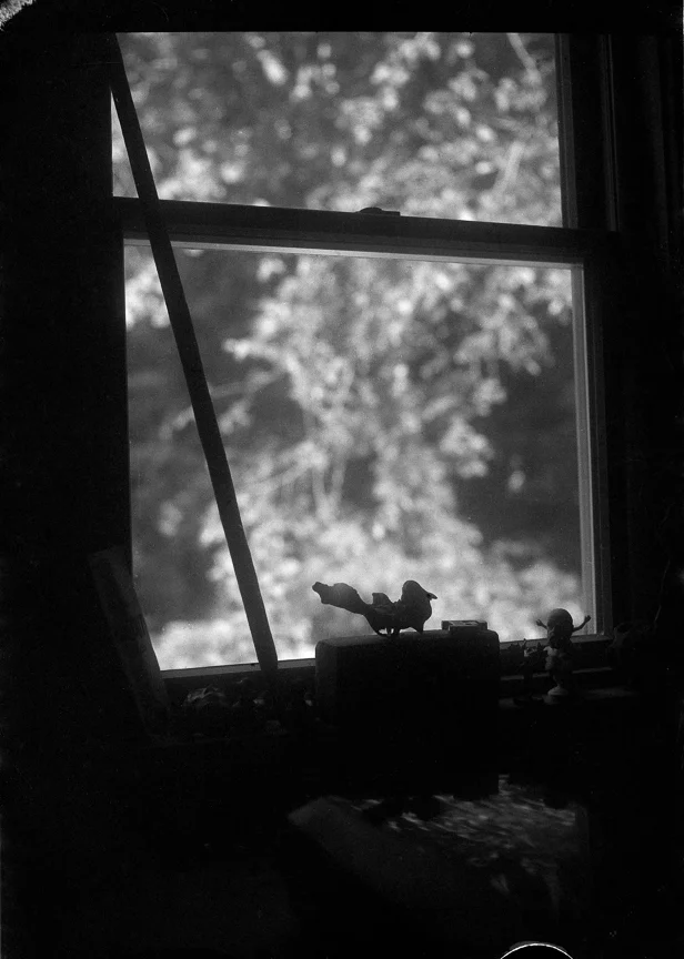 My Father's Camera, Home