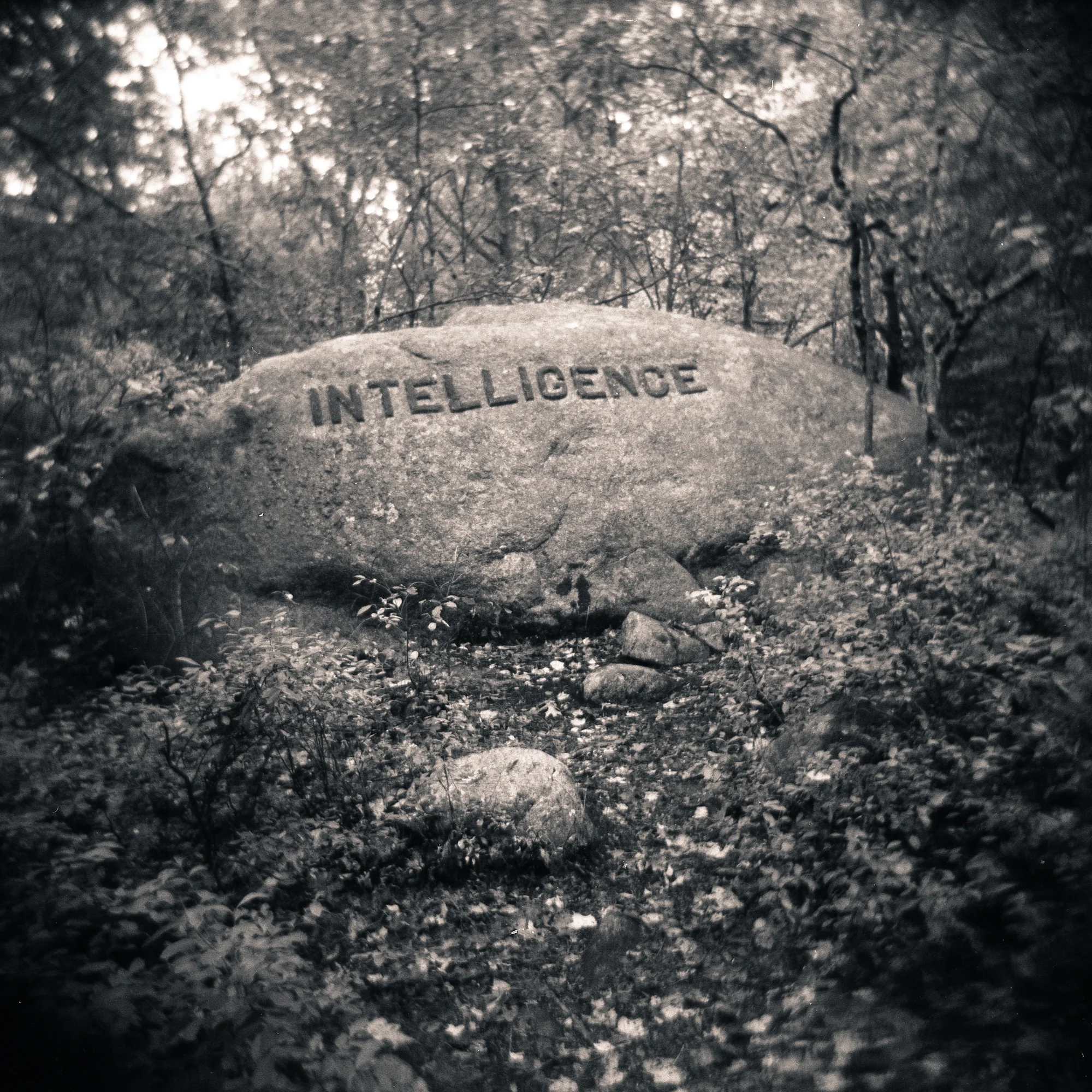 Intelligence.jpg
