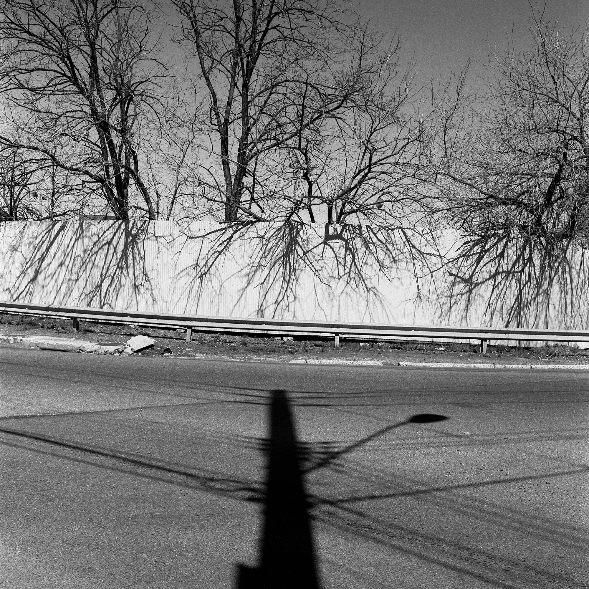 Staten Island 4_15016.jpg