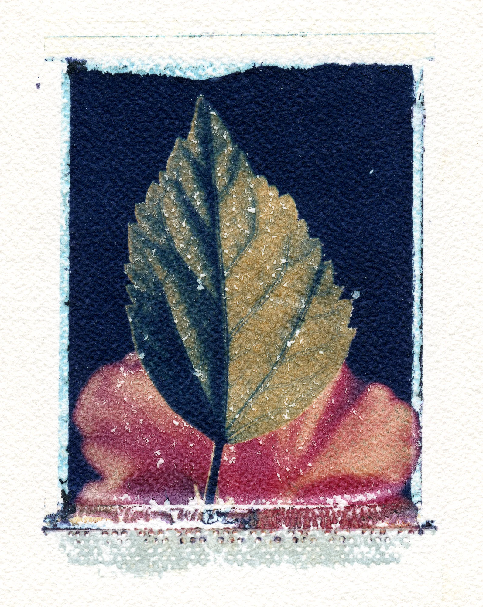 Flora