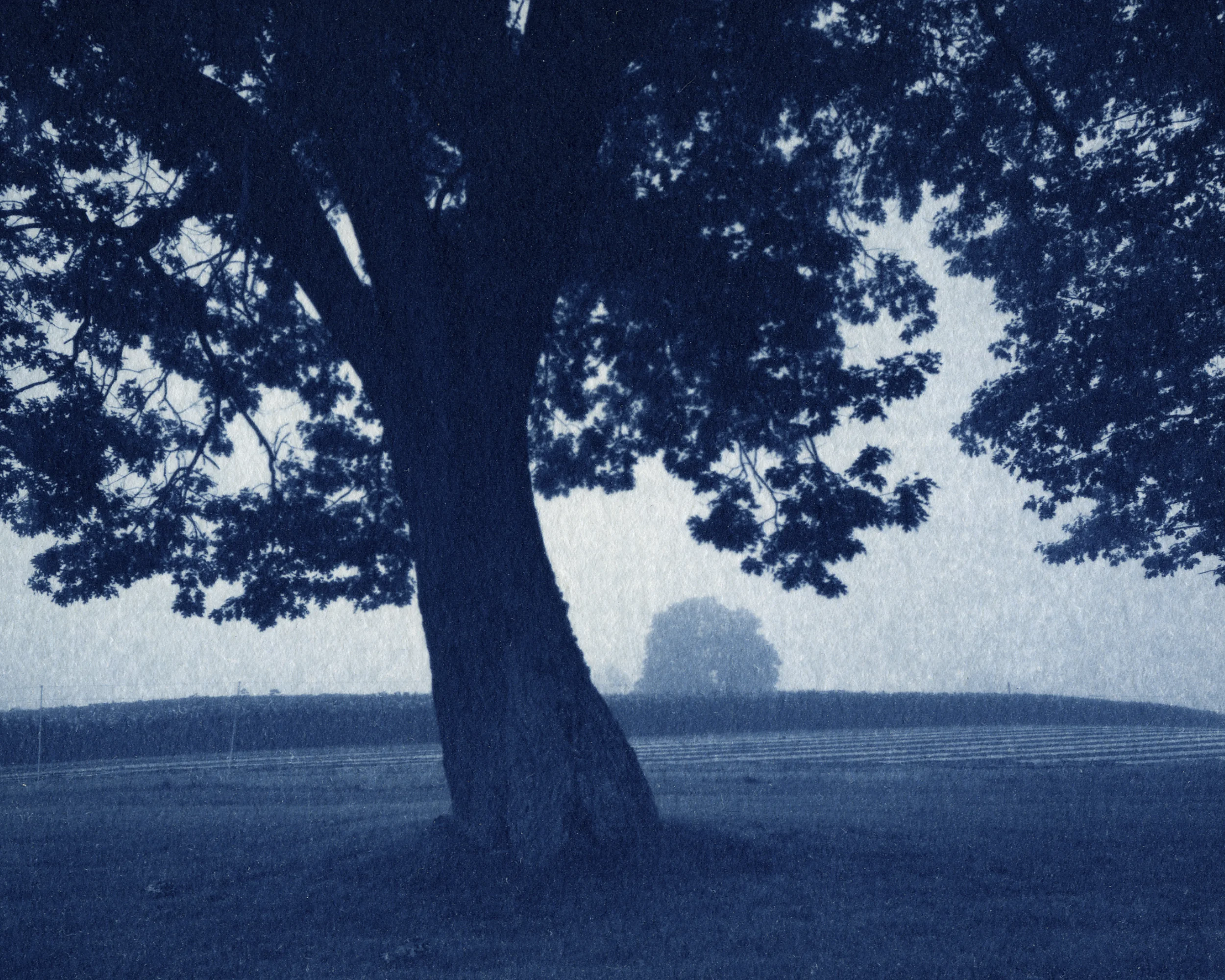 Appleton-1.jpg