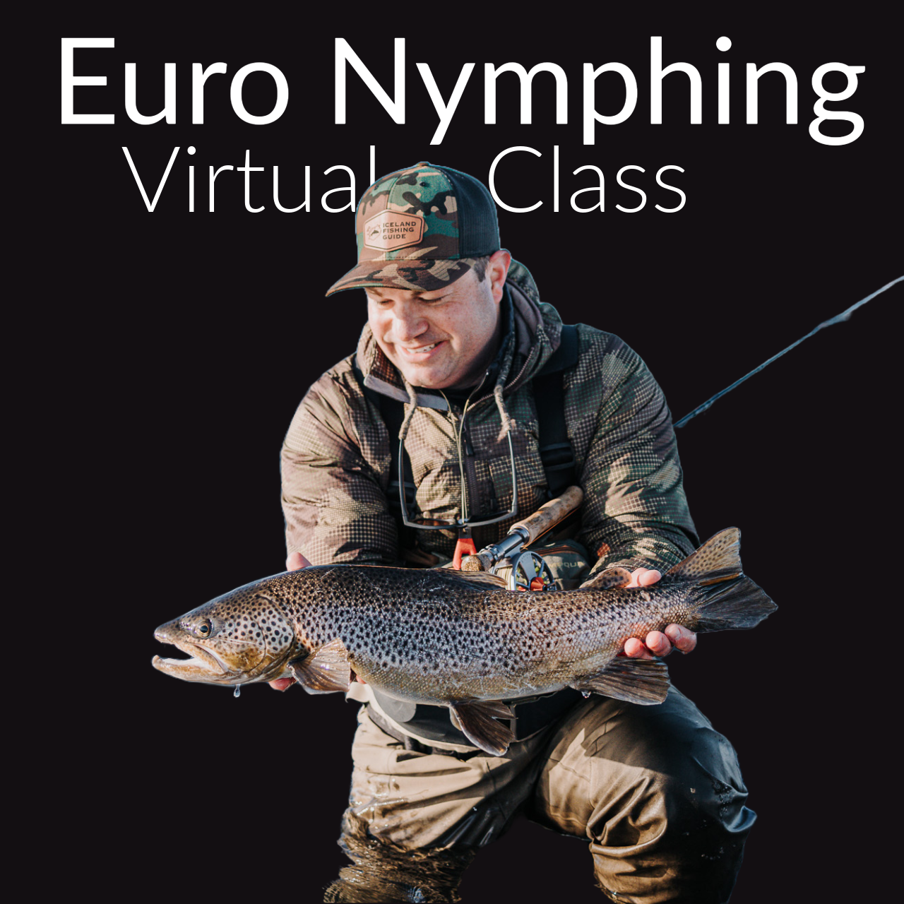 virtual class fly.PNG