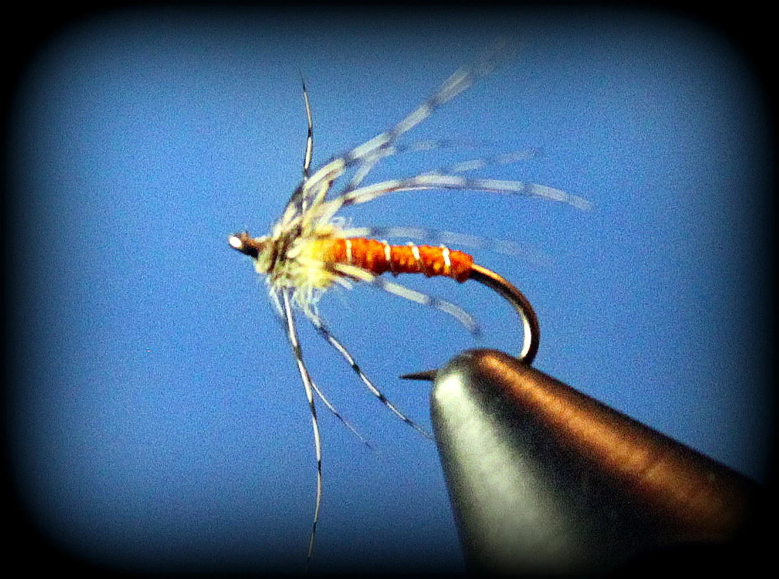 Soft Hackles and Wet Flies — Trout & Feather