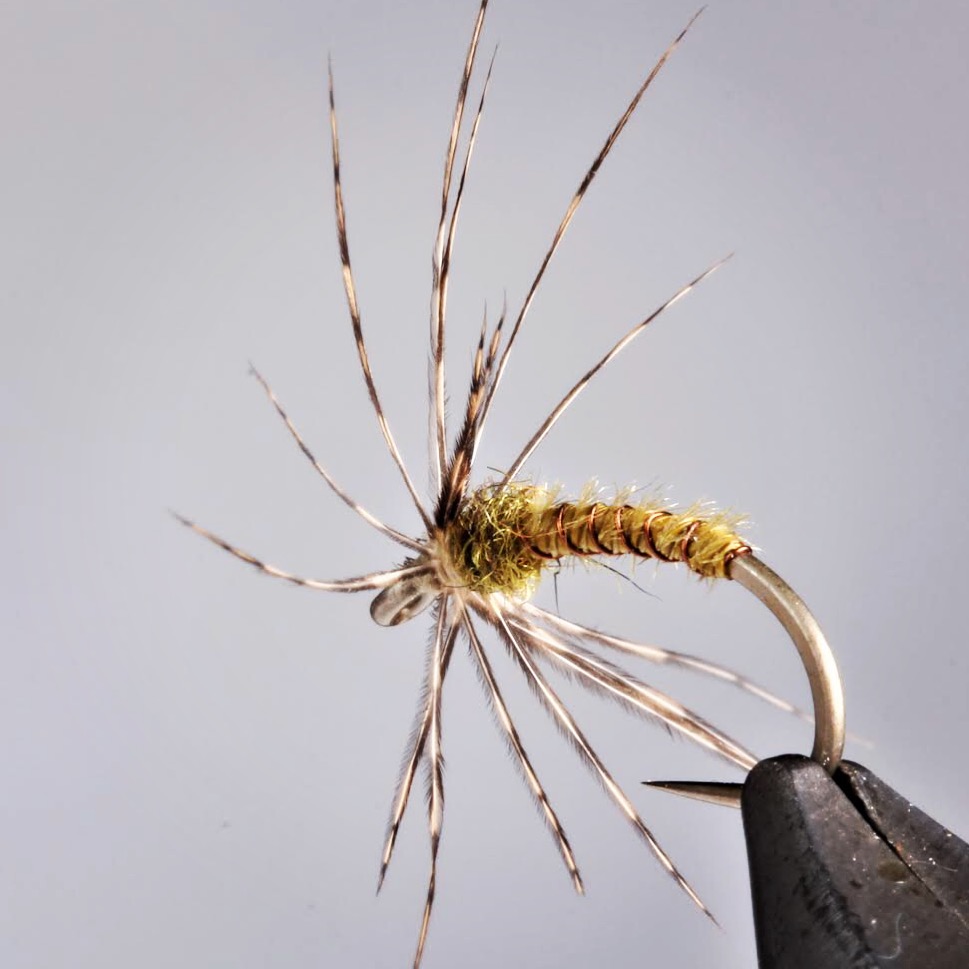 Soft hackle from IG nice.JPG