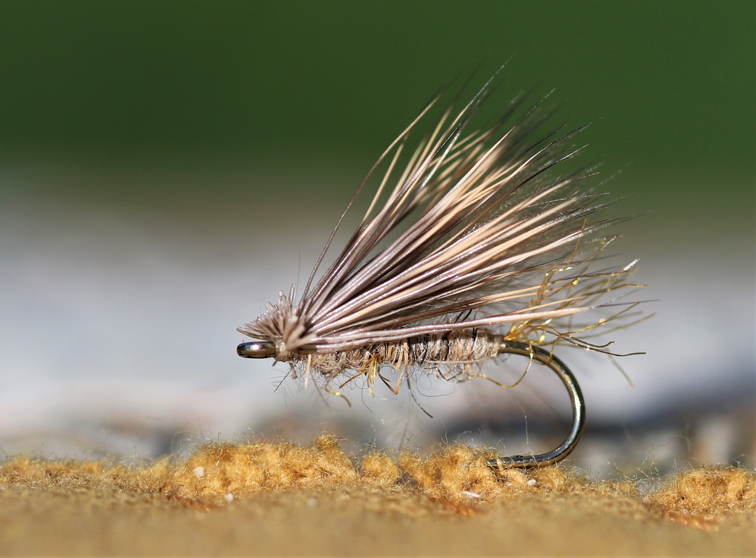 X caddis.jpg