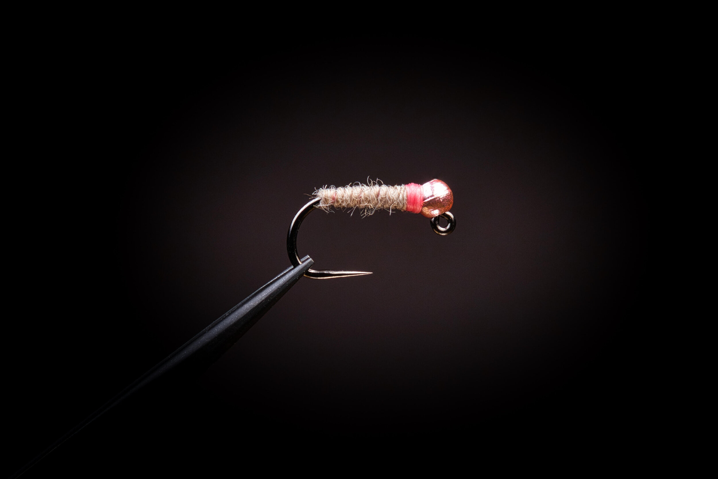 Killer Bug August 2020 Semperfli.jpg