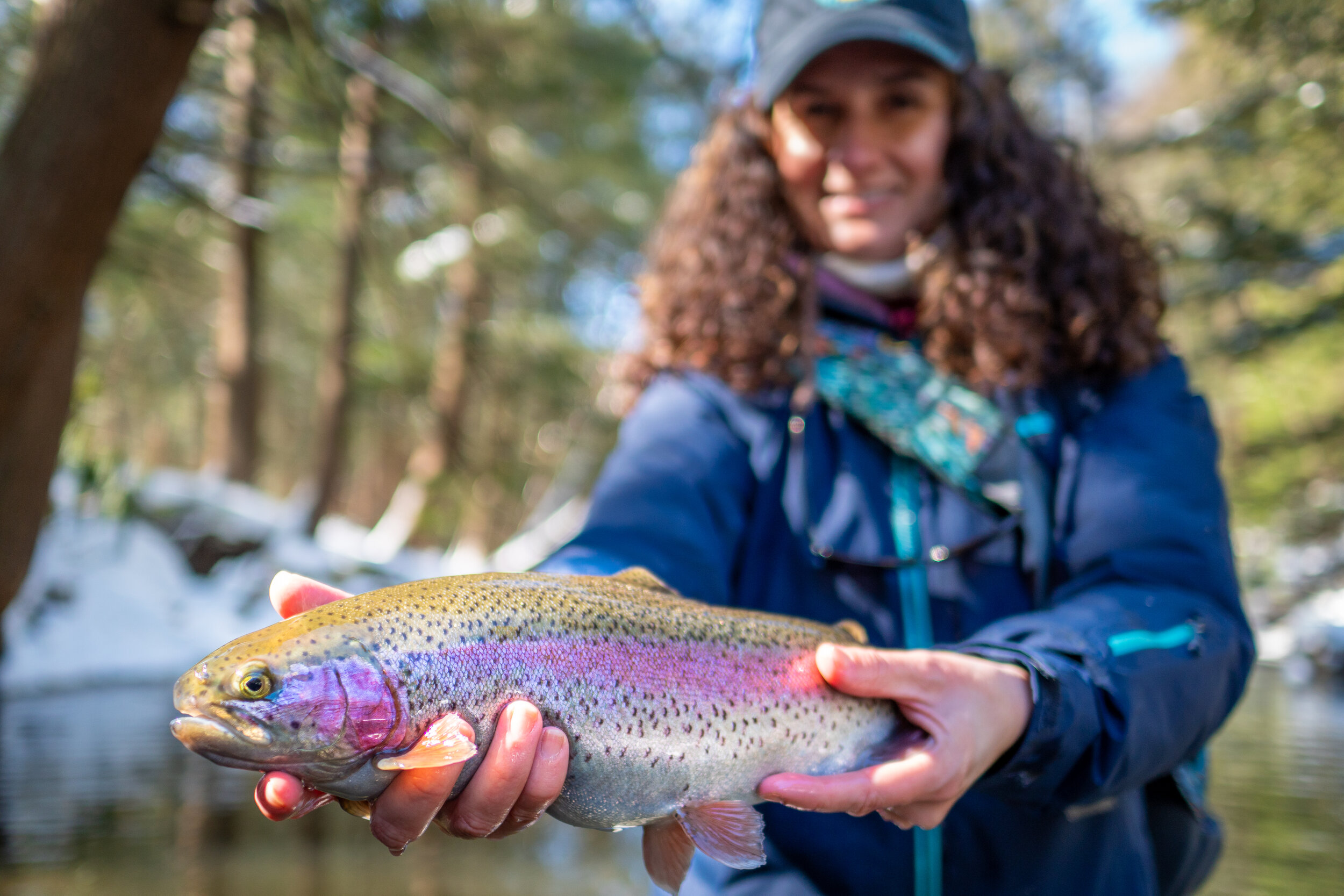 Rainbow trout fishing essentials