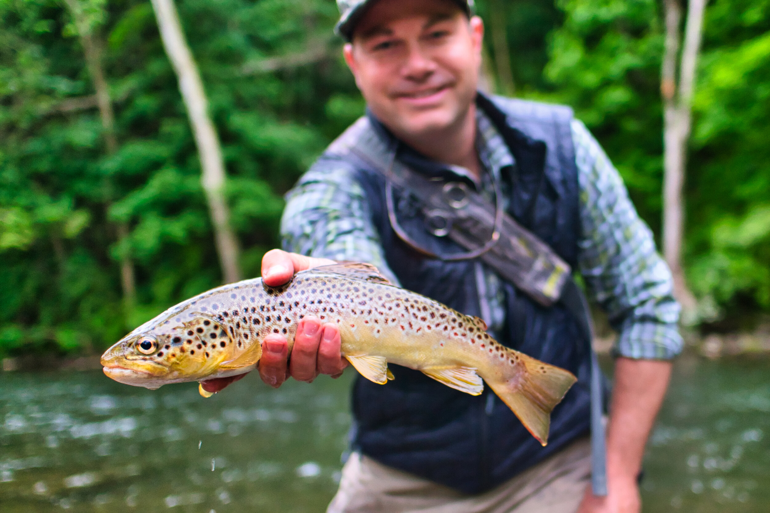 Brown trout June 2020.jpeg