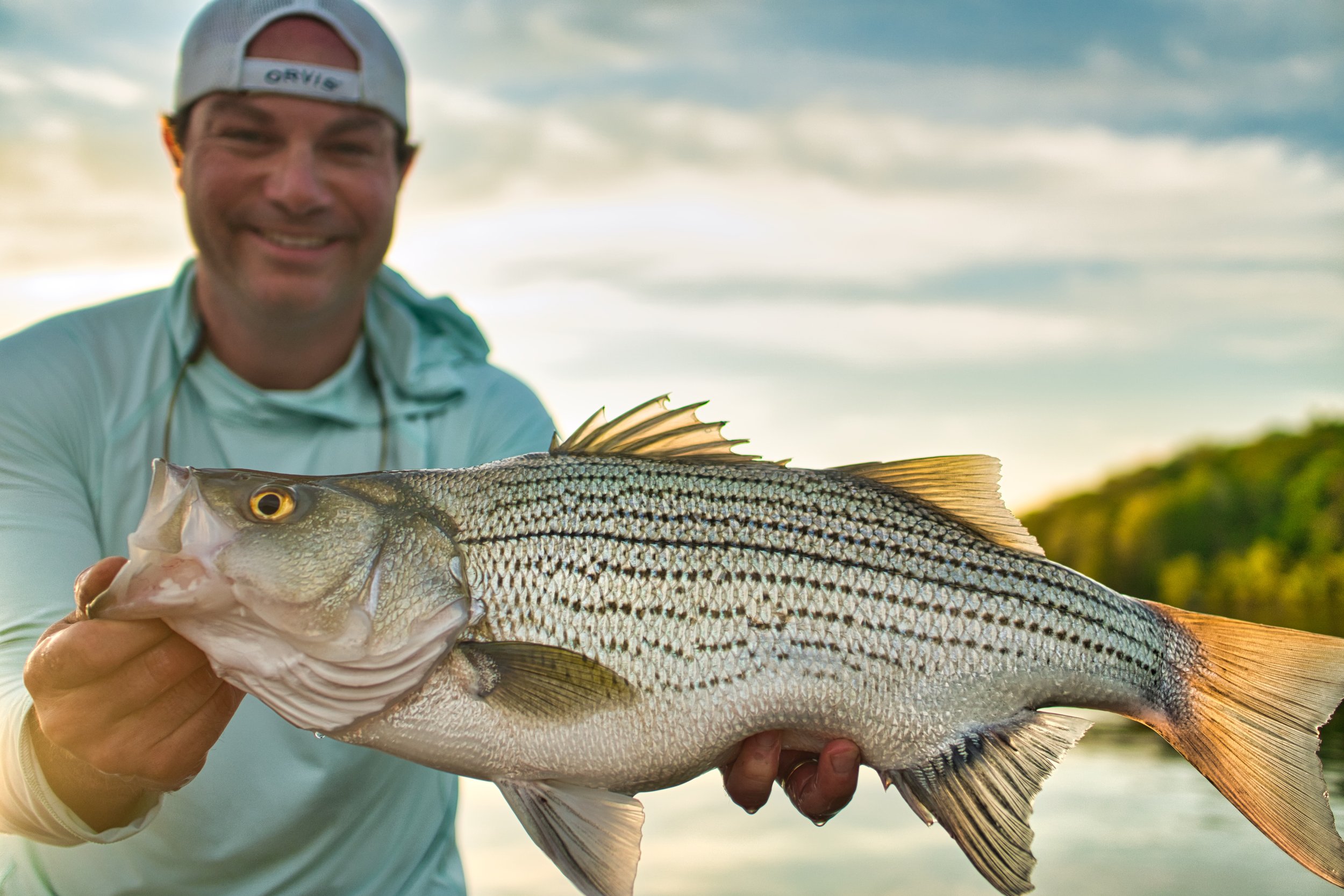 The PERFECT Fly Rod for Fly Fishing! — Trout & Feather