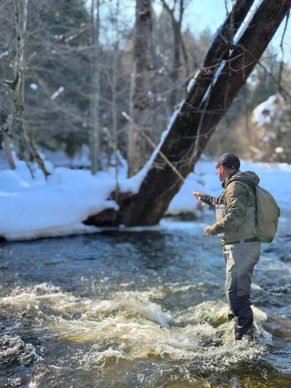 F7D1605D-C8F5-43E0-A776-0750CD5FADB7