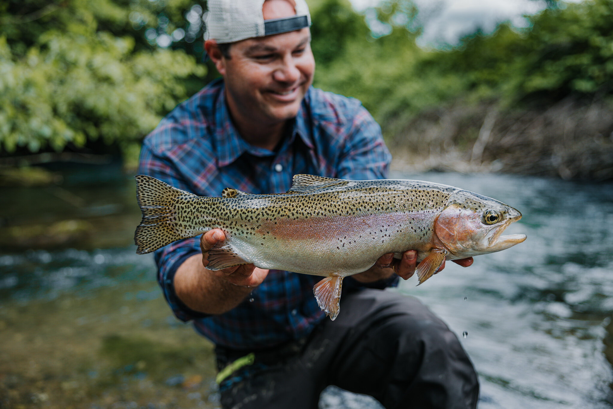 3133DF4E-FD0A-4892-A405-66C162FE6102