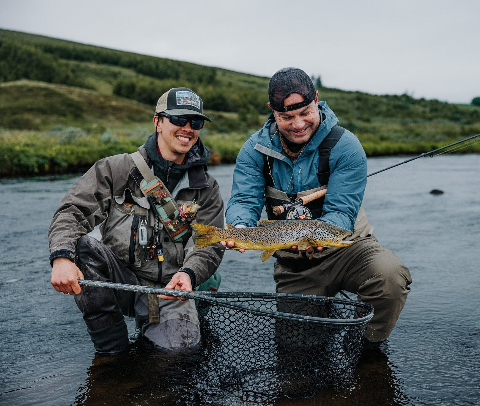 Icelandic brown trout