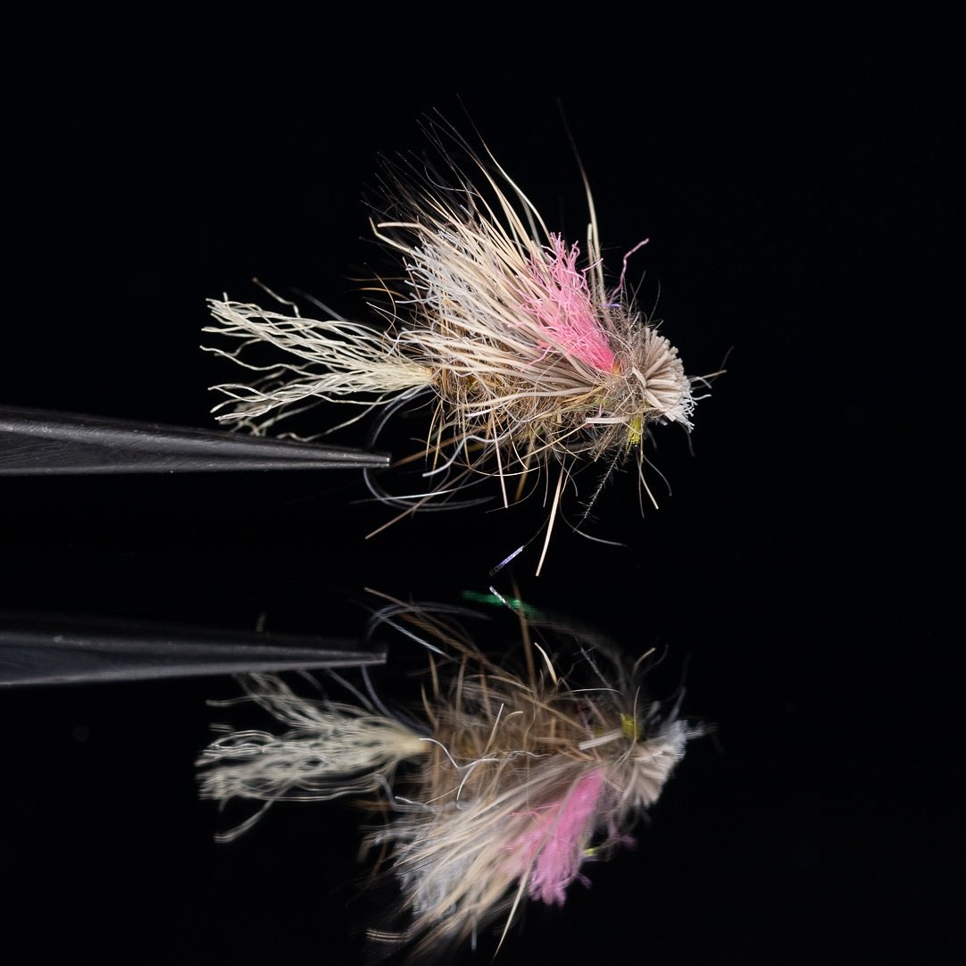 CONFIDENCE dry fly alert&hellip;save this post!! Tom Baltz is a fly fishing guide (50 years and counting), and the Iron X-Caddis is one of his top 3 dry flies. Learn tying and fishing tips, video link in bio. 

#troutandfeather 
#trout 
#travel #flyt