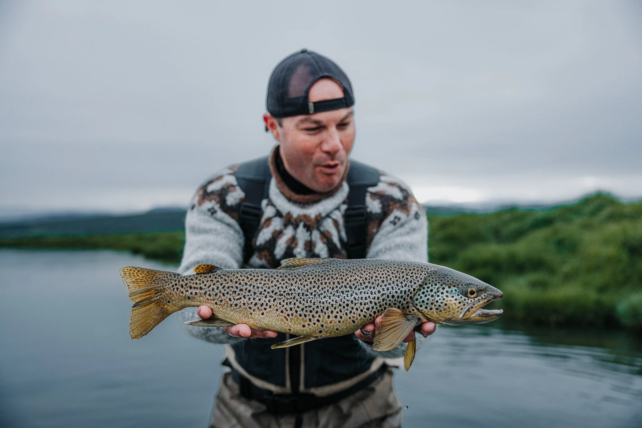 Brown trout on a dry fly!
