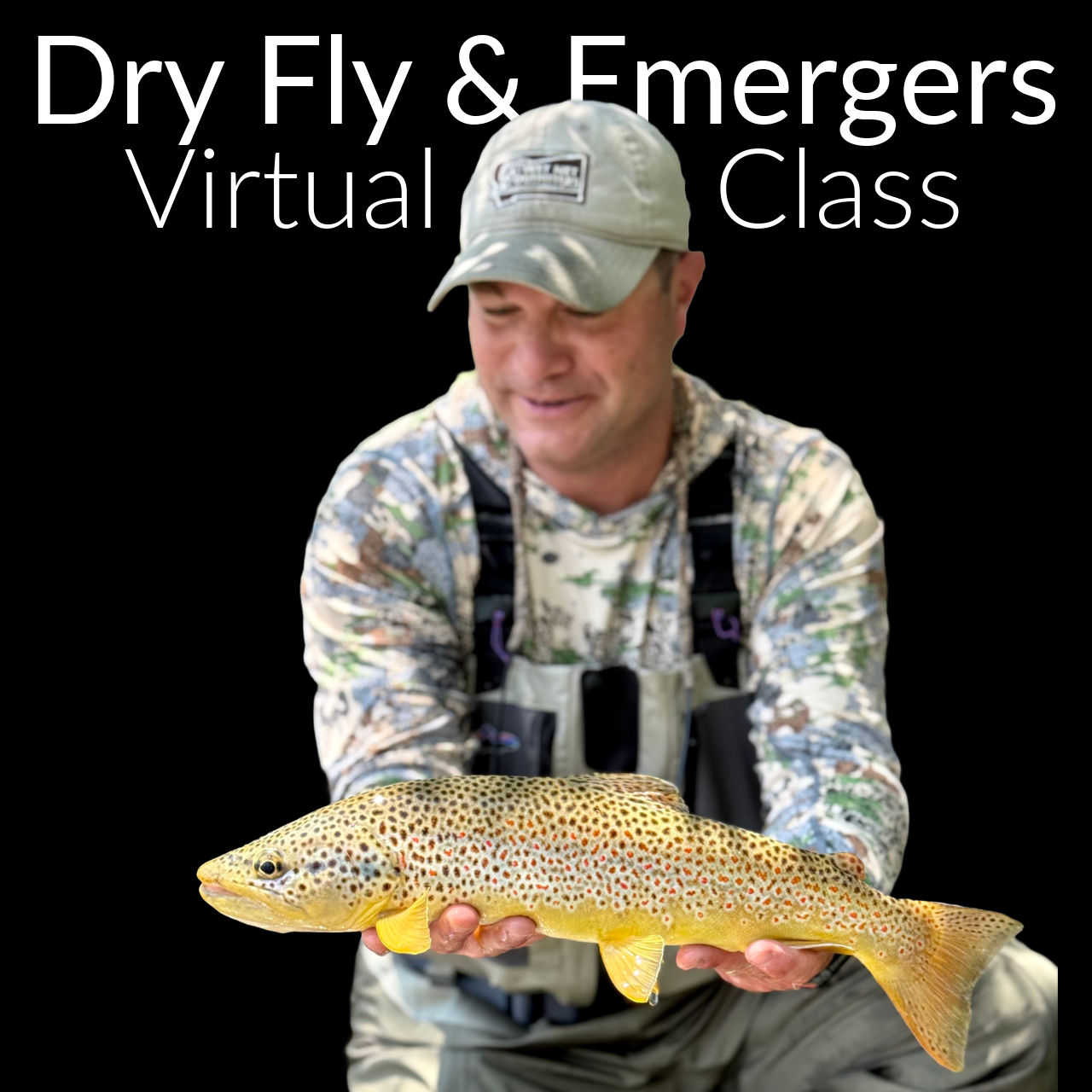 Dry Fly and Emergers Virtual Class 2026.PNG