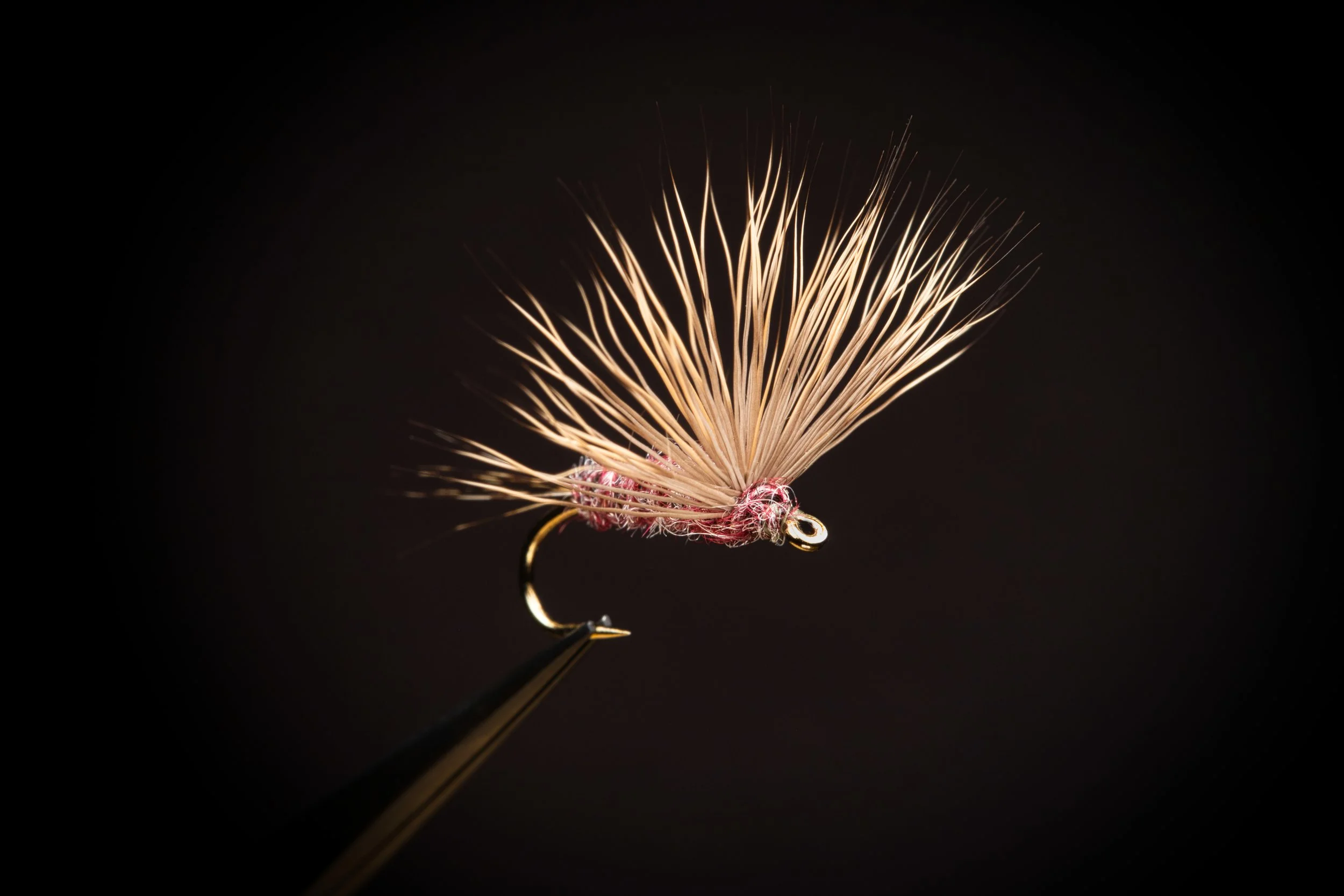 Comparadun Sept 2020.jpeg