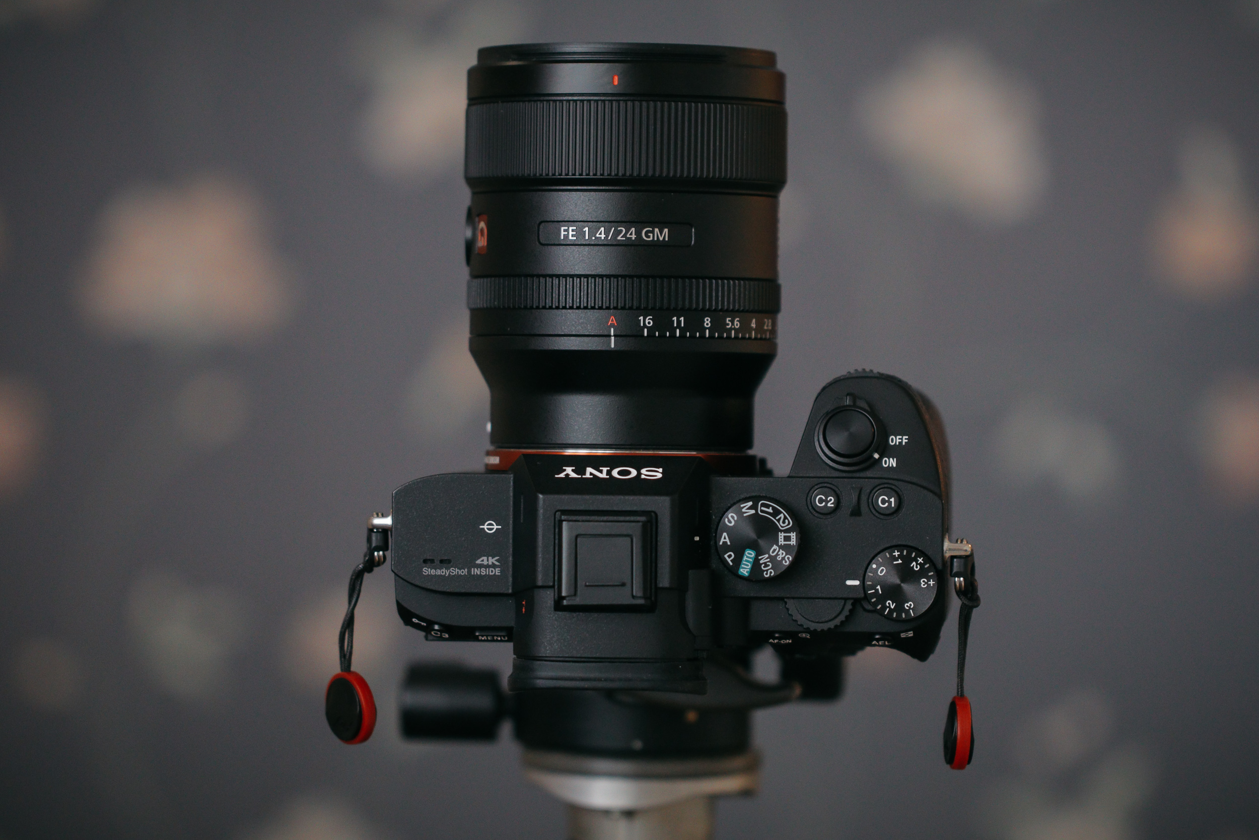 Review of the Sony FE 24mm f/1.4 GM lens — fahrenheit128