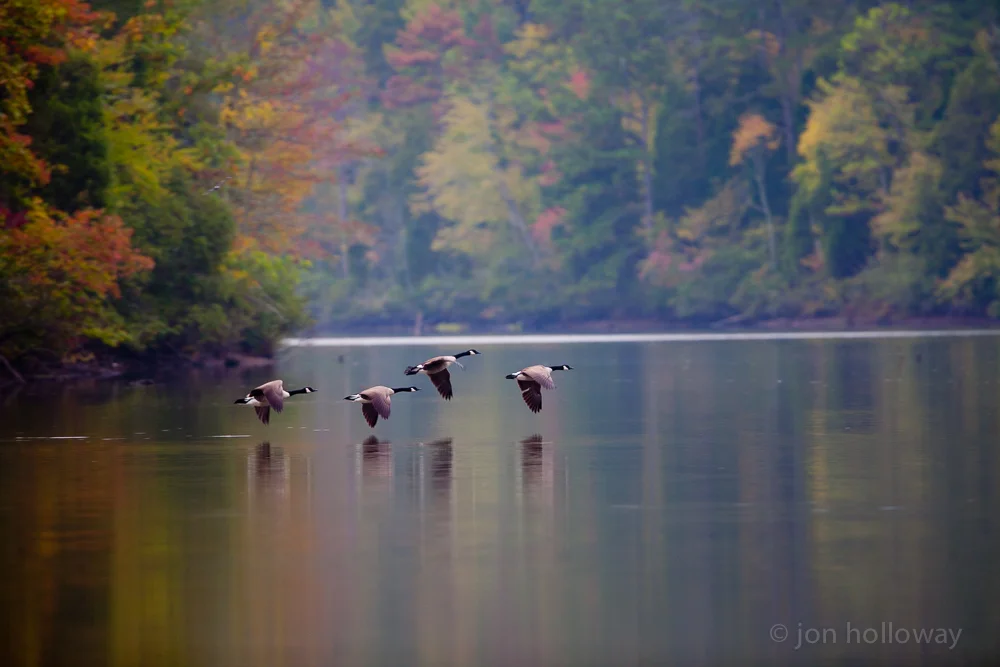 jonholloway-5.jpg