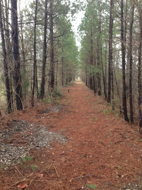Addition-to-96-Trail-4-13.jpg