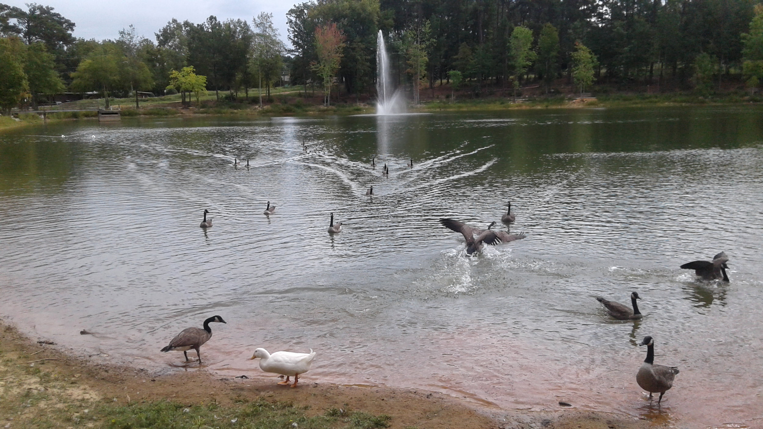 Countybank Fountain