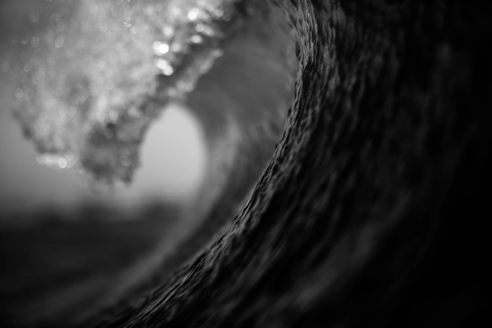 0D8A9971BW.jpg