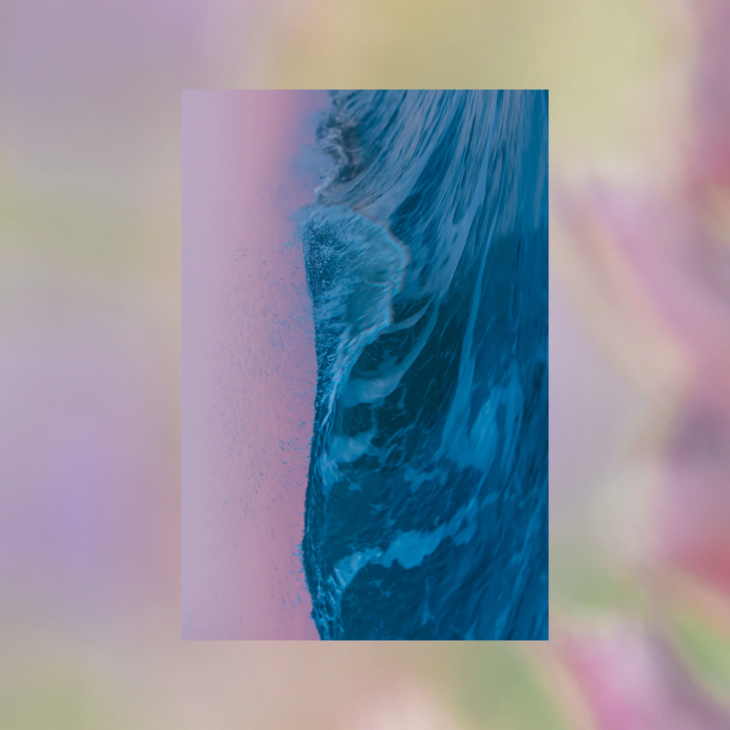 Untitled-4_1.JPG