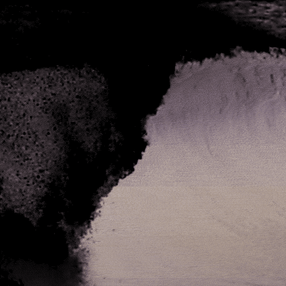 7A2A9177crim.gif