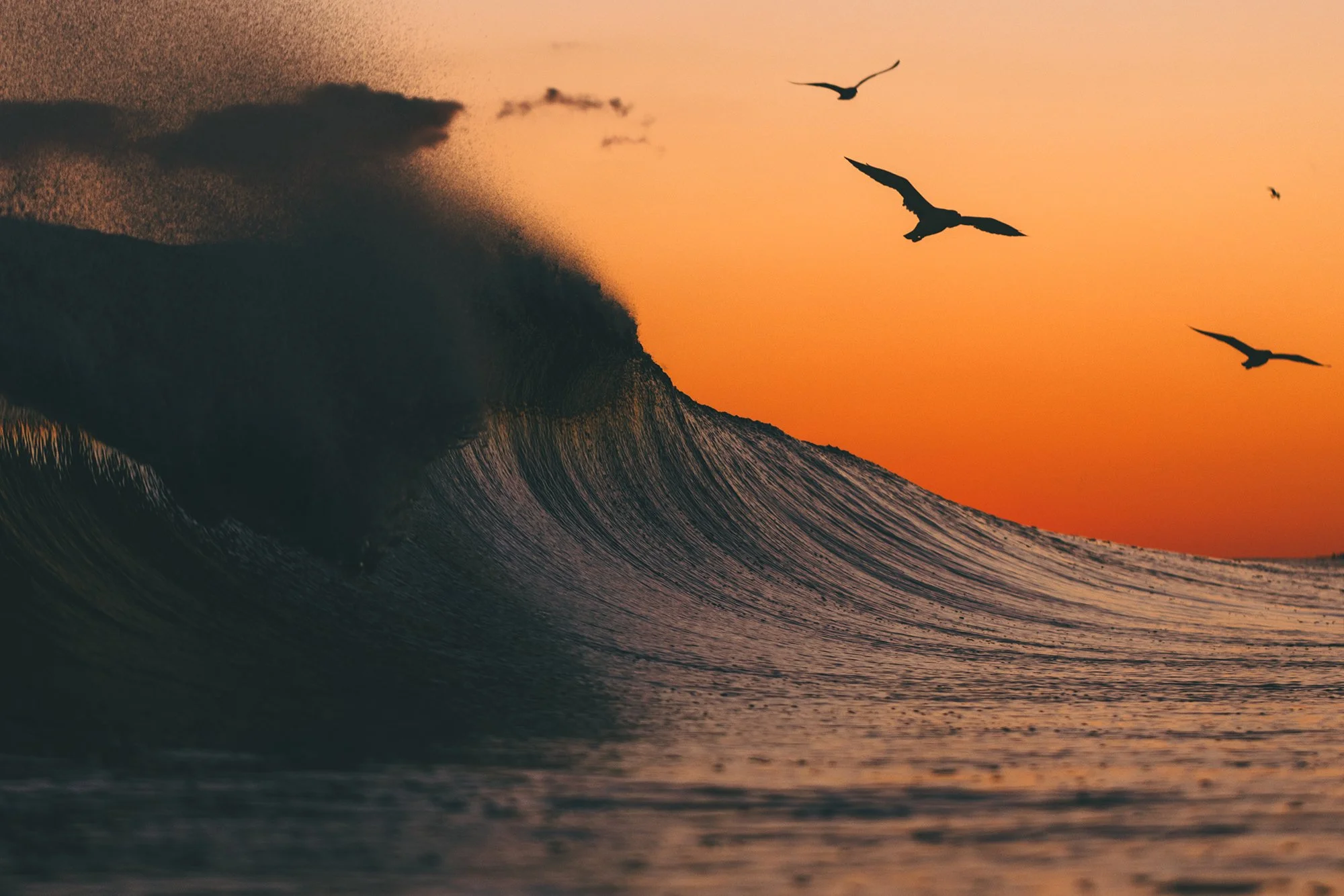 MATT7001 copy (1) copy.jpg