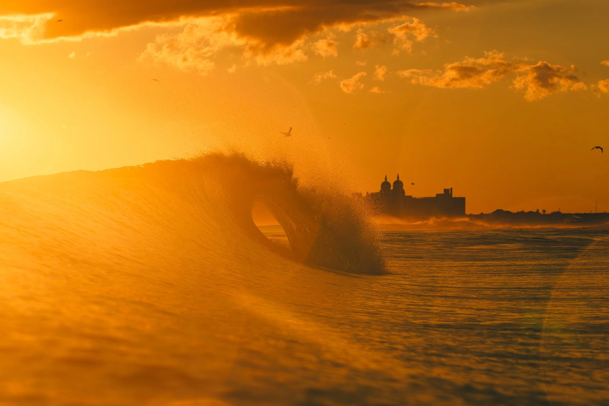 MATT6393 copy (2) copy.jpg